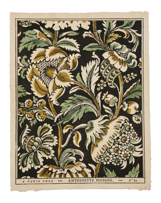 Antoinette Poisson Grands Pavots Domino Paper