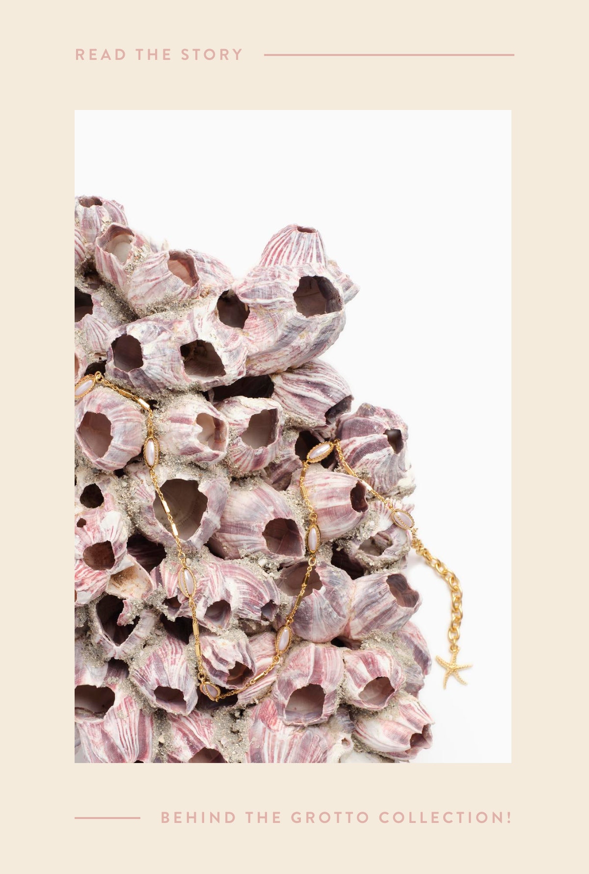 Over a purple, sand-crusted chunk of shell wraps a long golden chain with freshwater pearls dotted along its links.