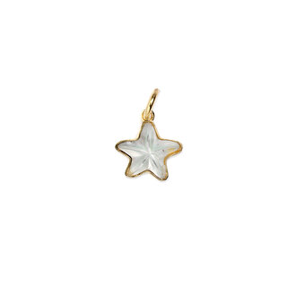 Fallen Aristocrat Frosted Starfish Charm Fallen Aristocrat Frosted Starfish Charm