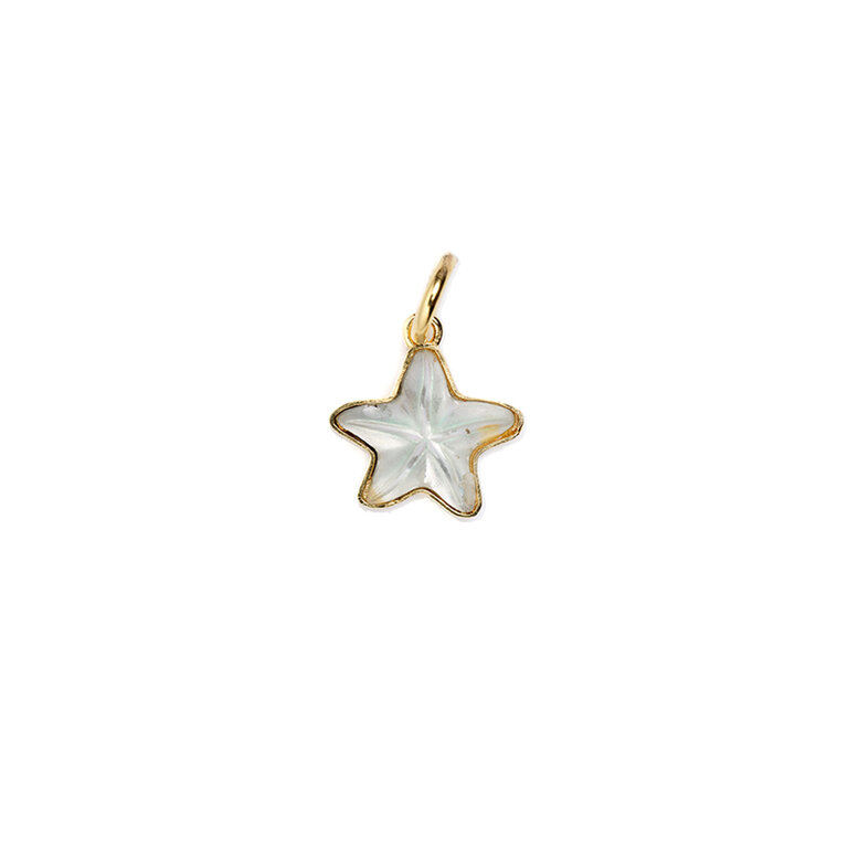 Fallen Aristocrat Frosted Starfish Charm