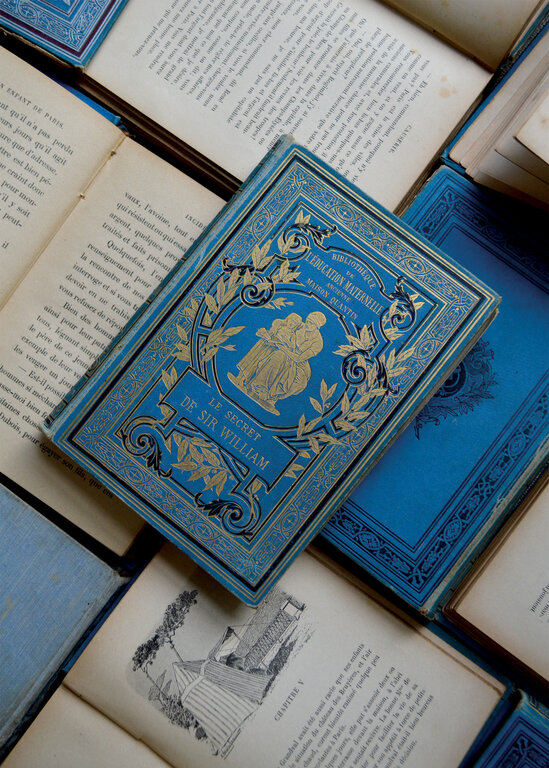 Antique French Blue Books, 19th Century
