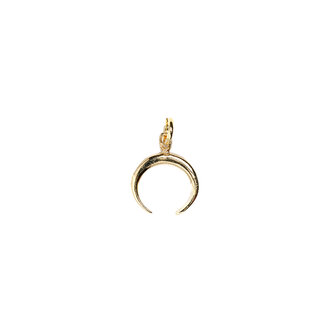 Fallen Aristocrat Petit Crescent Moon Charm