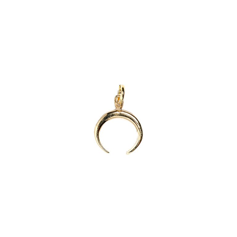 Fallen Aristocrat Petit Crescent Moon Charm