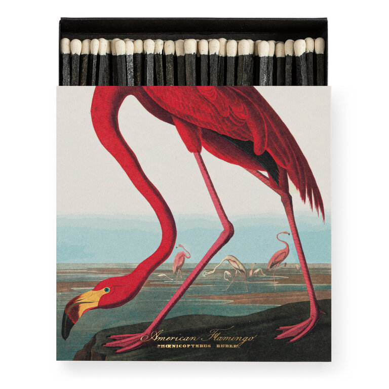 The American Flamingo by Audubon Match Box