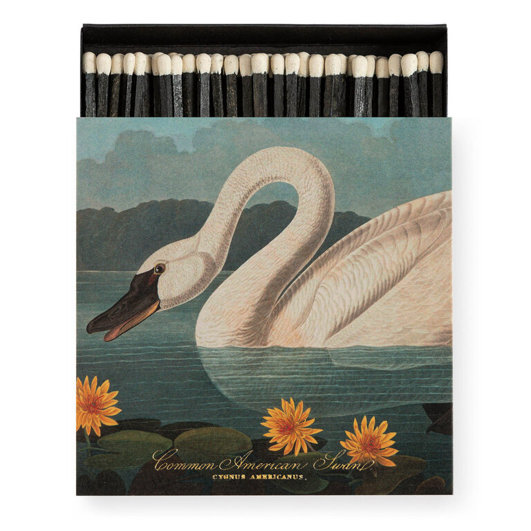 The Common American Swan by Audubon Match Box