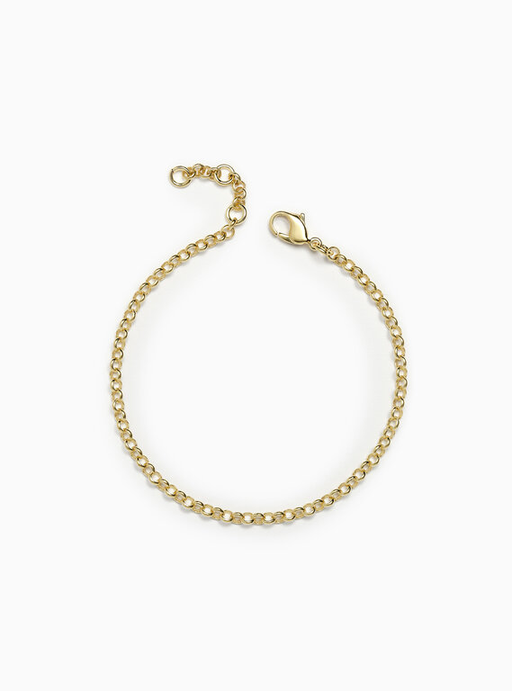 Fallen Aristocrat 14k Rolo Chain Bracelet, 3mm