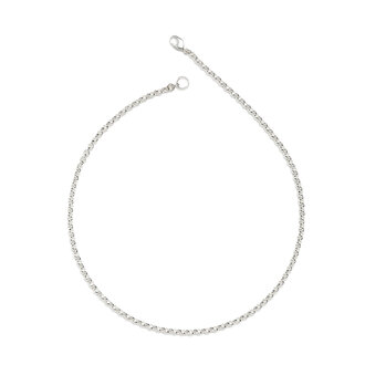 Fallen Aristocrat Rolo Chain SS Necklace Fallen Aristocrat Rolo Chain SS Necklace