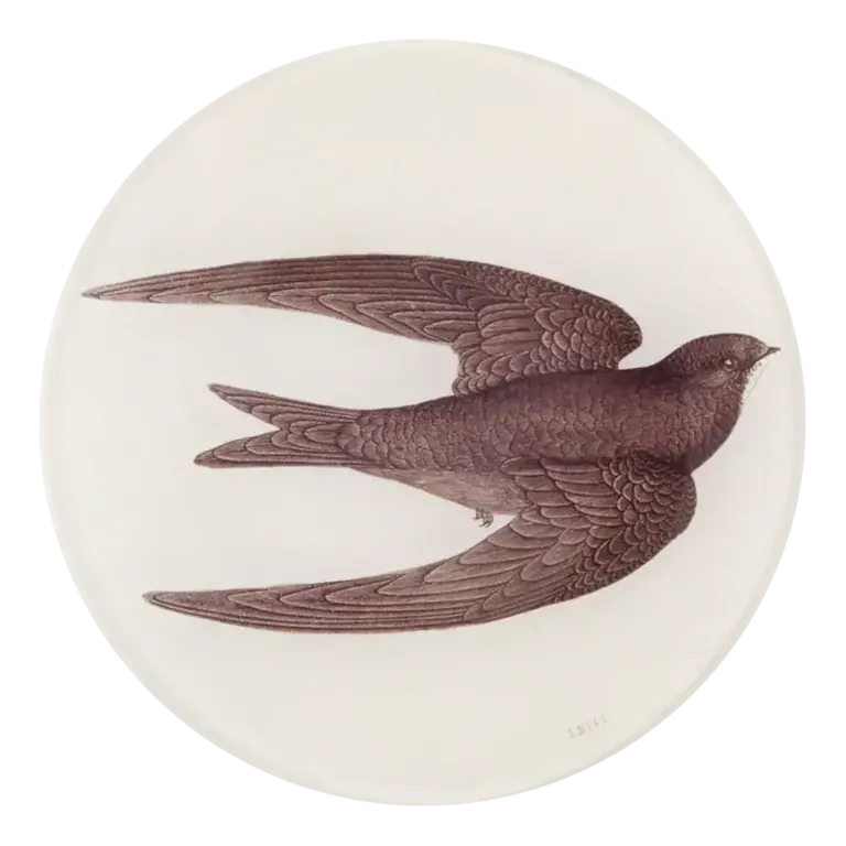 John Derian Swift Bird Swallow 5 3/4" Round