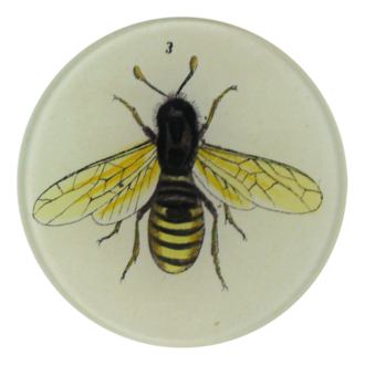 John Derian Bee  Round Plate
