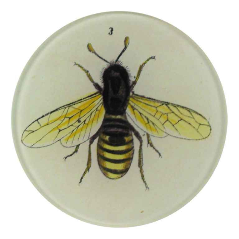 John Derian Bee Round Plate
