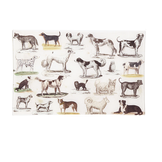 John Derian Dog Run Letter Tray John Derian Dog Run Letter Tray