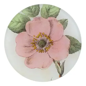 John Derian Rose Canina Round John Derian Rose Canina Round