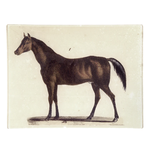 John Derian Horse #1 Tray John Derian Horse #1 Tray