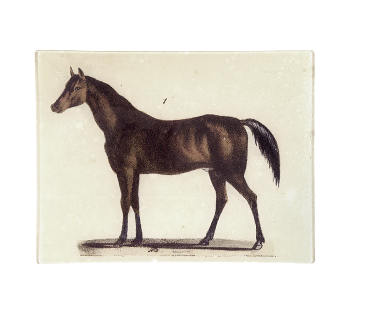 John Derian Horse #1 Tray
