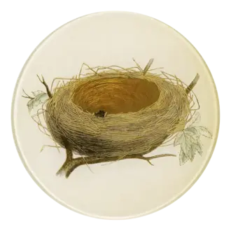 John Derian Empty Nest Round Plate John Derian Empty Nest Round Plate