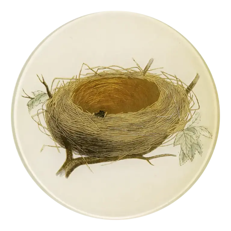 John Derian Empty Nest Round Plate