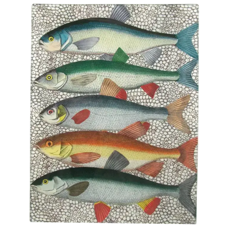 John Derian Some Fish Rectangular Tray