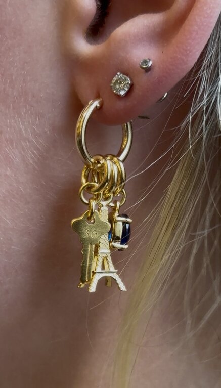 Fallen Aristocrat Lux Medium Hoop Earrings