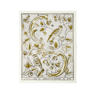 Antoinette Poisson 24B Oiseaux et Feuillage, Khaki Domino Paper
