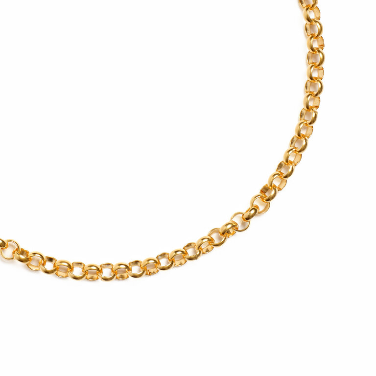Fallen Aristocrat Rolo Chain 18K Necklace