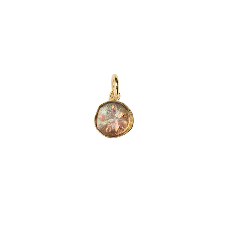 Fallen Aristocrat Charm- Rose Iridescent Sand Dollar