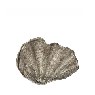 Terracotta Wavy Shell