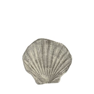 Small Terracotta Tiger Shell