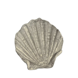 Medium Terracotta Tiger Shell