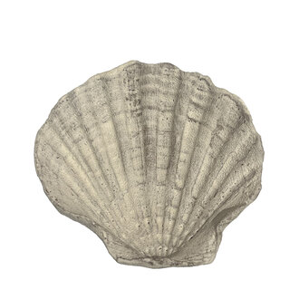 Large Terracotta Tiger Shell