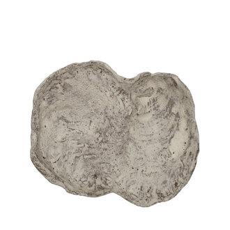 Terracotta Double Oyster Shell