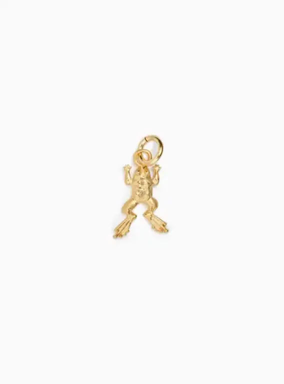 Fallen Aristocrat Frog Charm