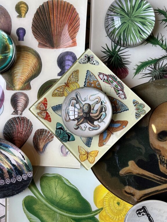 John Derian Crabs IX DecorativeTray