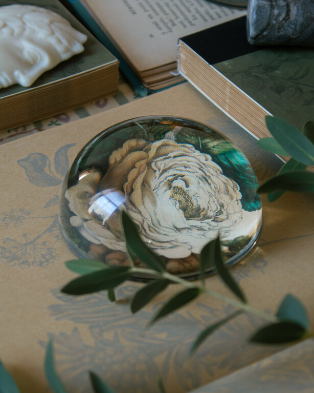 John Derian Sepia Rose Dome Paperweight