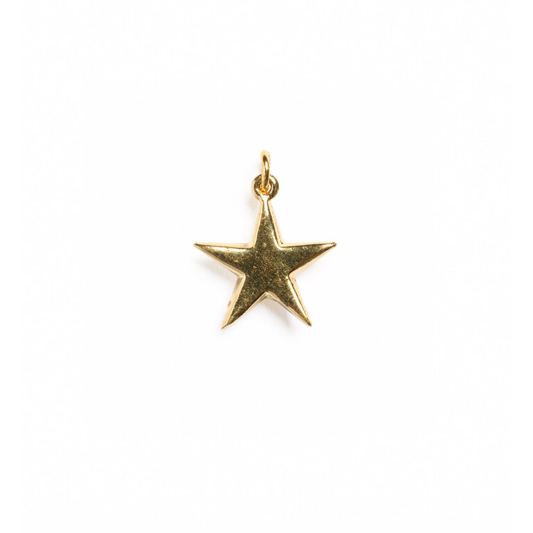 Fallen Aristocrat Star Charm