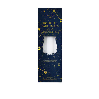 Trudon Fir Scented MadeleineTaper Candles