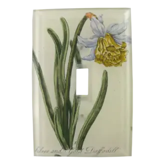 John Derian Daffodil Switch Plate Cover