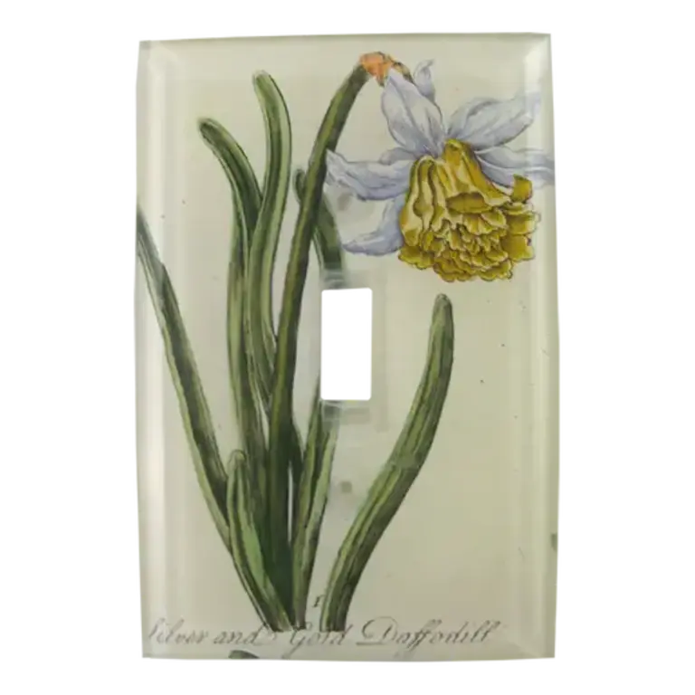 John Derian Daffodil Switch Plate Cover