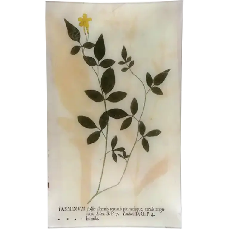John Derian Jasminum 12x20" Rectangle Tray