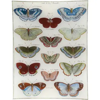 John Derian Butterflies 31 Tray
