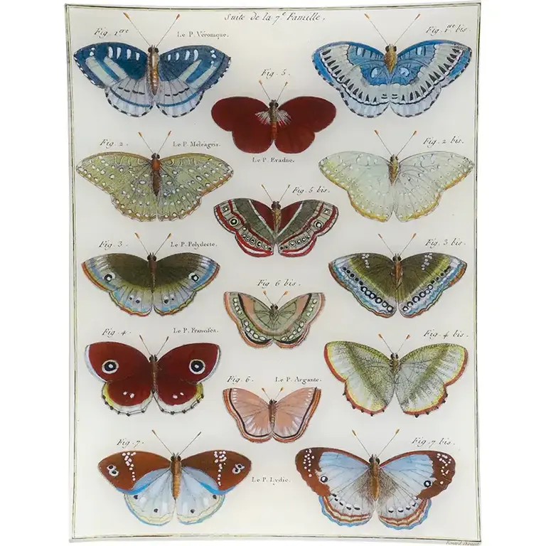 John Derian Butterflies 31 10x13" Rectangle Tray
