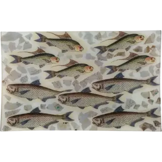 John Derian School of Fish (Collage) 10x16" Rectangle Tray