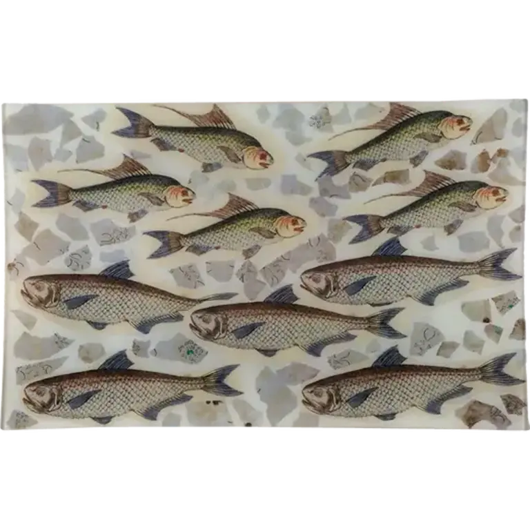 John Derian School of Fish (Collage) 10x16" Rectangle Tray