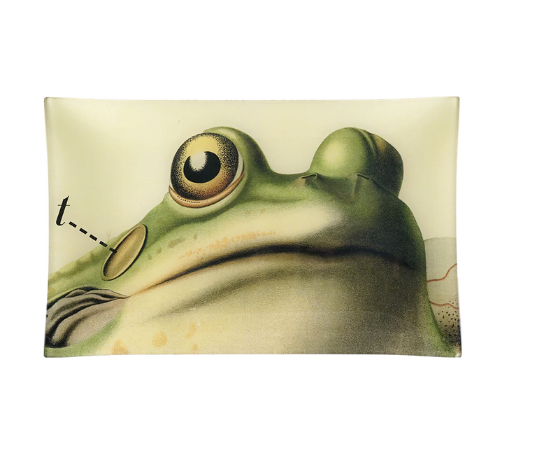 John Derian Frog Up Close Tray