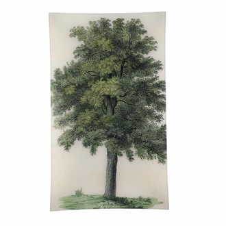 John Derian Oak Tree Tray