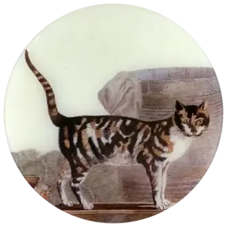 John Derian Cat on the Waterfront Round