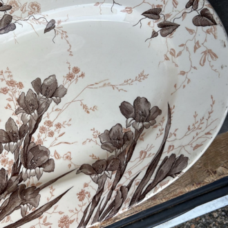 Gladiolus Flowers Platter