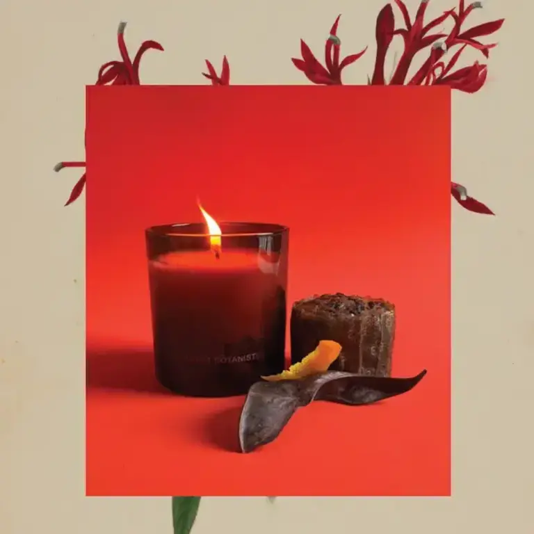 The Quiet Botanist Fruitcake Candle