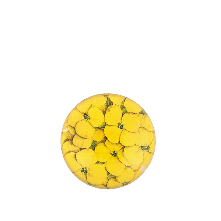 John Derian Chrysanthus Flower Dome Paperweight