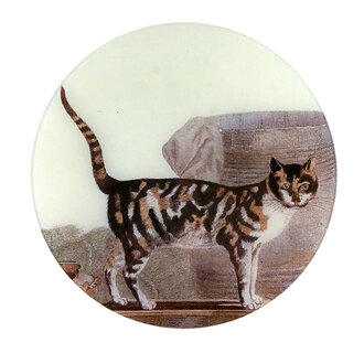 John Derian Cat on the Waterfront Plate