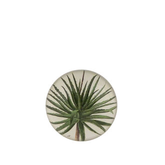 John Derian Aloe Dome Paperweight
